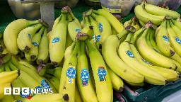 Banana giant Chiquita held liable by US court for funding paramilitaries